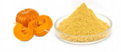 pumpkin powder extract