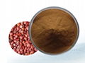 Seed of Wild Jujube Extract	 1