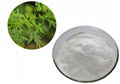 Artemisia annua Extract