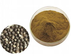 fructus viticis extract