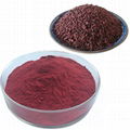 Red Yeast Rice Extract Powder0.2-3% Food grade