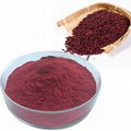 Red Yeast Rice Extract Powder0.2-3% Food grade 3