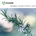 Rosemary extract carnosic acid 20% 4