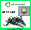 Ursolic acid 25% Rosemary Extract 98% Ursolic acid 