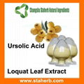 Ursolic acid 25% Rosemary Extract 98% Ursolic acid  6