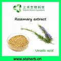 Ursolic acid 25% Rosemary Extract 98% Ursolic acid  7