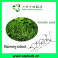 Ursolic acid 25% Rosemary Extract 98% Ursolic acid  9