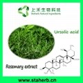 Ursolic acid 25% Rosemary Extract 98% Ursolic acid 
