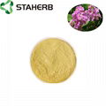 Banaba leaf extract Corosolic acid 1-10% Food dietary Supplement