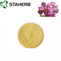 Banaba leaf extract Corosolic acid 1-10% Food dietary Supplement