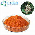 Macleaya cordate extract chelerythrine 98% 7