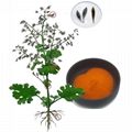 Macleaya cordate extract chelerythrine 98% 9