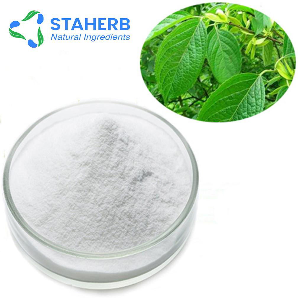 Feeding additives eucommia ulmoides leaves chlorogenic acid