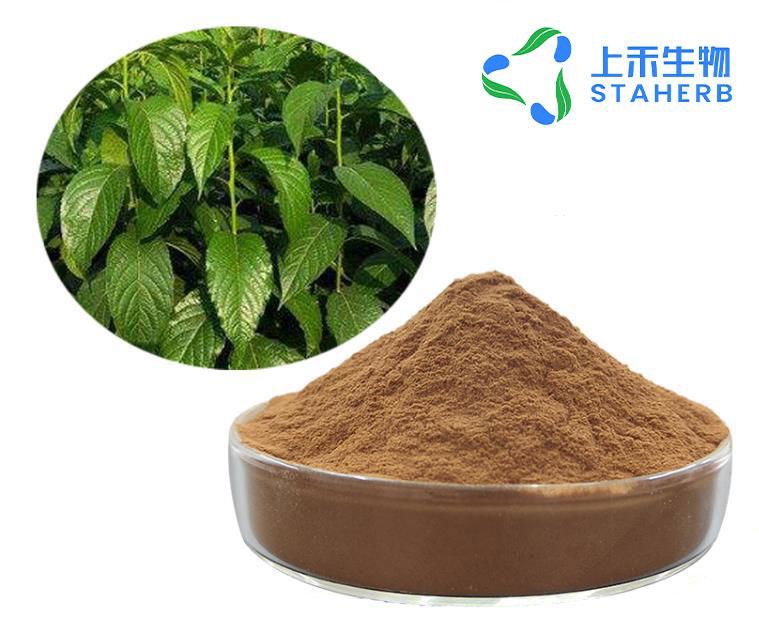 Feeding additives eucommia ulmoides leaves chlorogenic acid 3