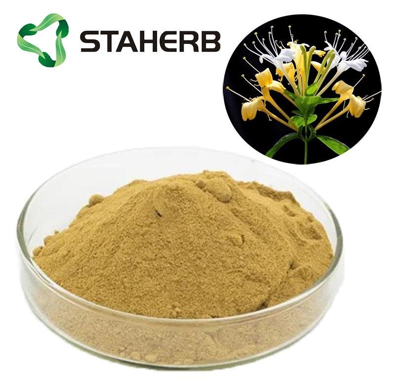 HoneySuchle Flowers Extract chlorogenic acid 1