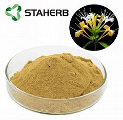 HoneySuchle Flowers Extract chlorogenic acid