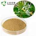 HoneySuchle Flowers Extract chlorogenic acid 9