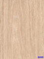 Washed Oak FC Recon Veneer 1