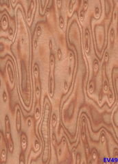 Brown Cat Eyes Recon Veneer