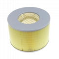 China Factory Direct 17801-61030 Air Filter 1