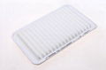 Good Quality Air Filter HEPA Cross Reference 17801-20040 17801-0H010 C32003 A-11 1