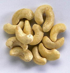 100% High Quality Cashew Nuts & Kernels WW240 Available