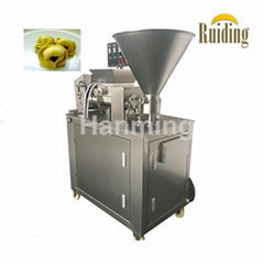 Hot sale high quality automatic dumpling empanada spring roll machine