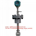  Digital high temperature steam vortex flowmeter 1