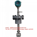  Digital high temperature steam vortex insertion flow meter 4