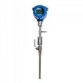 Thermal mass flow meter