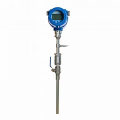 Thermal mass flow meter 