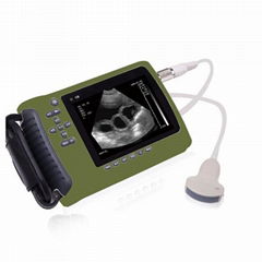 Veterinary Handheld Ultrasound Scanner