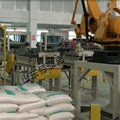 国产化肥智能卸垛机器人