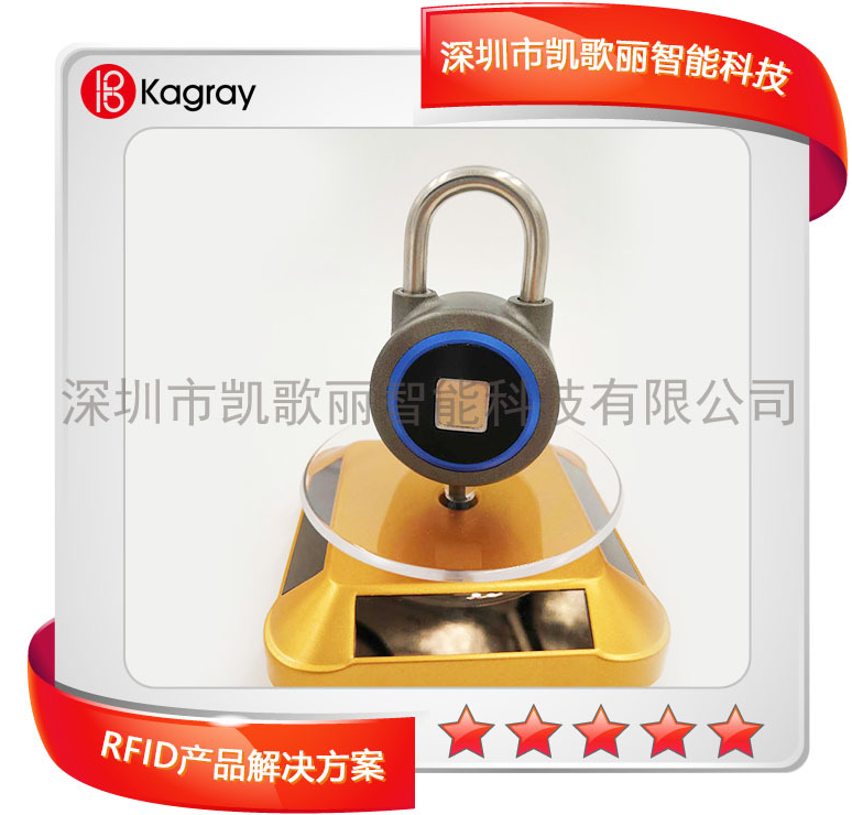 蓝牙指纹双解锁门挂锁 2