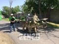 Triceratops Walking Ride(AR-97) 1