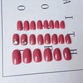 3D Diamond Manicure 5