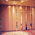 Flush Door 85 mm Thickness Movable Partition Wall Systems Customized Color 1