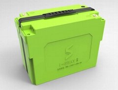 standard module battery pack for goflcart
