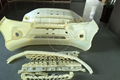 Car Bumper Mold 1