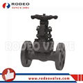 DIN Flanged Forged Steel Gate Valve