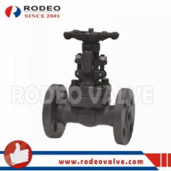 DIN Flanged Forged Steel Gate Valve