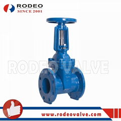 ANSI Cast Iron Flange Gate Valve