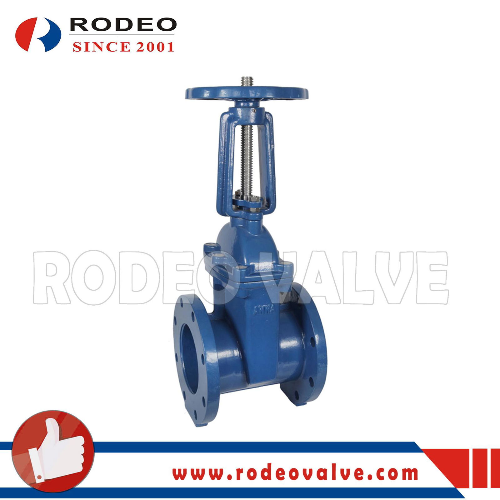 ANSI Cast Iron Flange Gate Valve 2