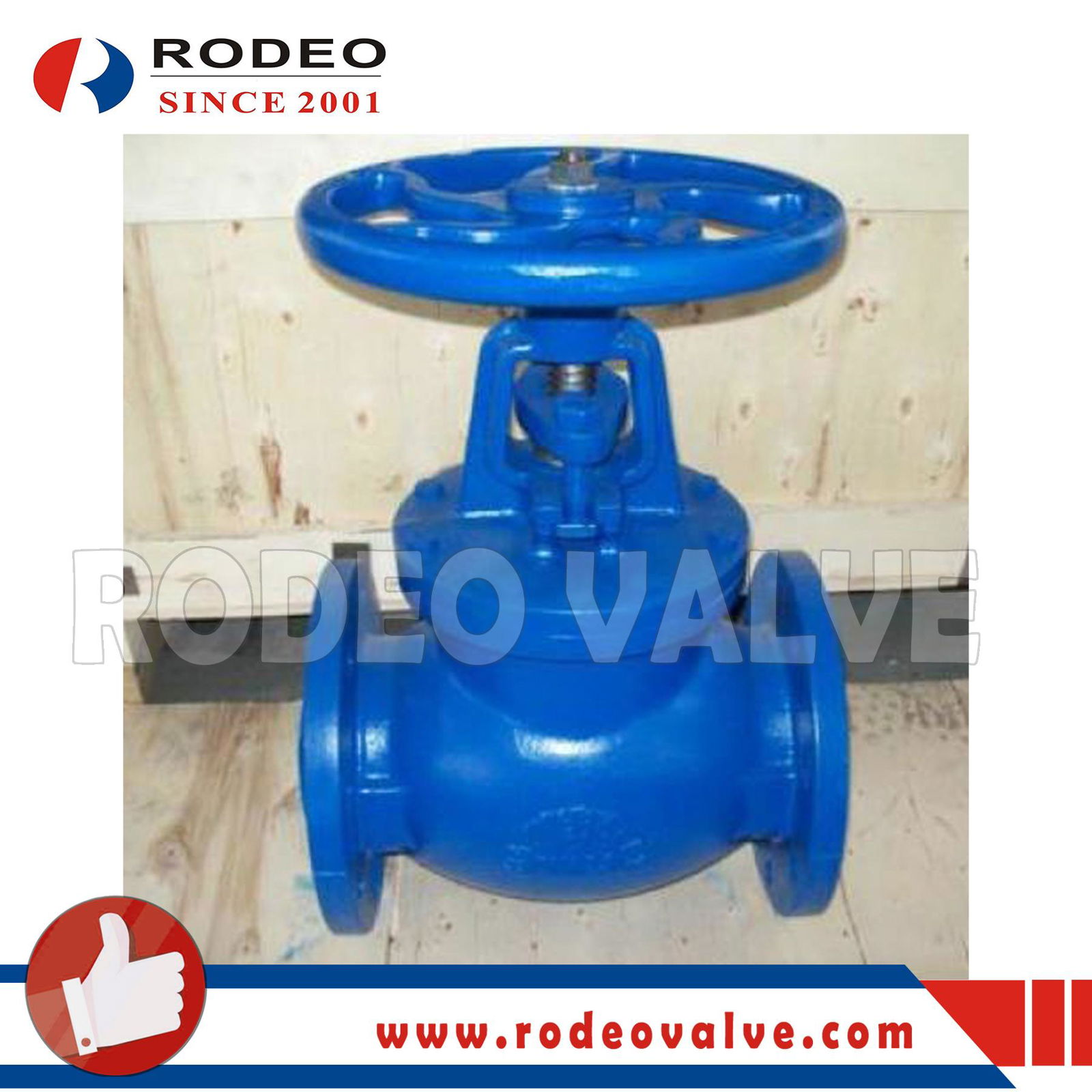 Cast Iron Flanged Globe Valve 2