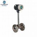 Digital natural Gas Vortex Flowmeter 1