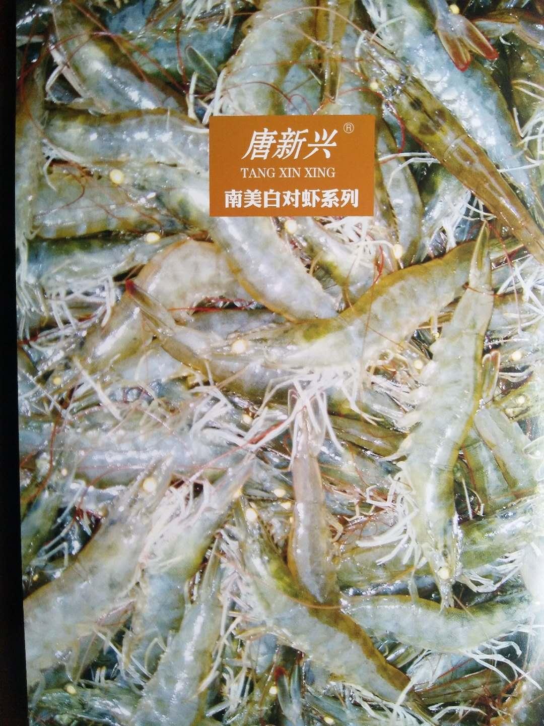 凍章魚 4