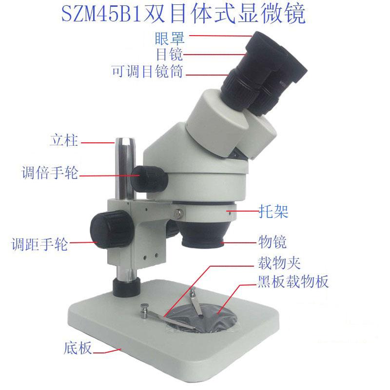 SZM45B1 Stereo zoom microscope   2