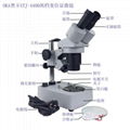 XTJ-4400双目两档变倍显微镜   2