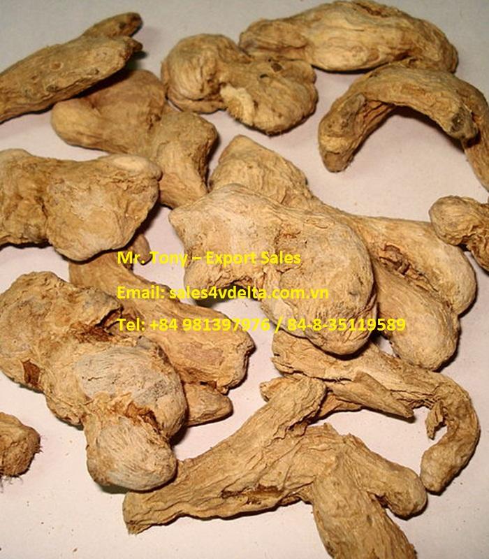 Dried Pwder Ginger 3