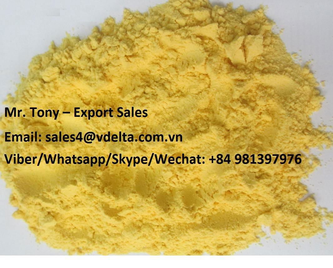 Turmeric Powder Dried Turmeric 2